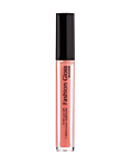 R Блеск д/губ FASHION GLOSS Т.10